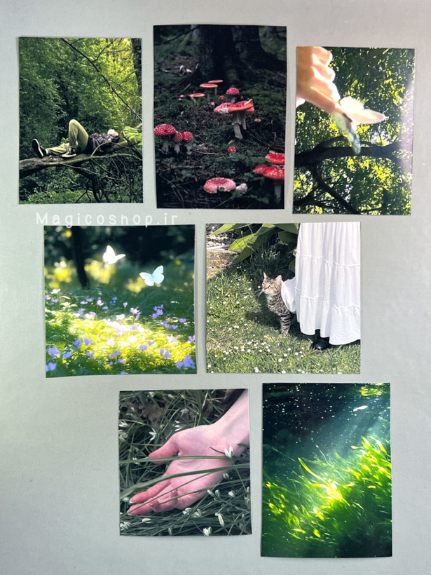 پک پوستر جنگل